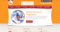 Desktop Screenshot of otelbileklik.com