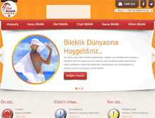 Tablet Screenshot of otelbileklik.com
